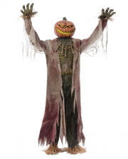 Pumpkin Scarecrow Halloween Animatronic
