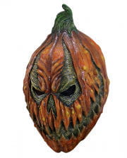Spooky Pumpkin Seed