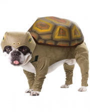 Schildkröte Hundekostüm