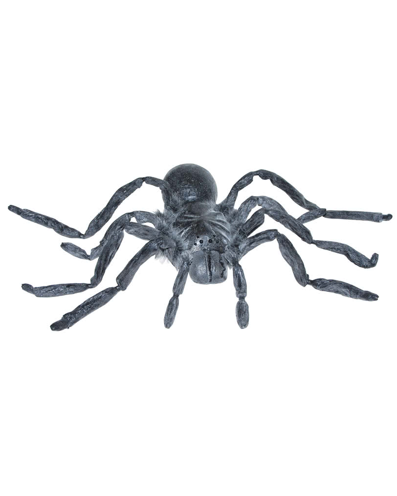 Graue Latex Riesenspinne 90 cm | Spinne als ...