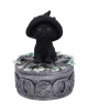 Schwarze Hexenkatze auf Pentagramm Box 15cm 
