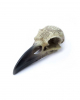 Omega Raven Skull 