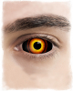 Pennywise Sclera Kontaktlinsen 