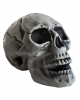 Cheap Halloween Skull 24cm 