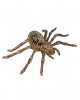 Spinnen Skelett 24cm 