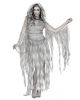 Enchanted Ghost Fairy Ladies Costume 