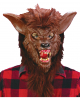 Braune Werwolfmaske mit Acryl Zähnen 