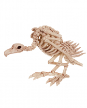Vulture Skeleton 