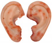 Detached Ears - Realistic Look 2 Pcs.