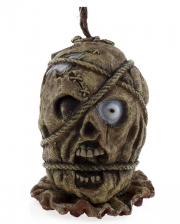 Severed Mummies Head
