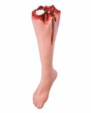 Severed Bloody Leg 