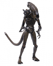 Brown Alien Warrior Actionfigur - Aliens 