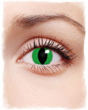 Motivlinsen grüne Anakonda 