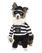 Einbrecher Hunde-Kostüm 