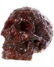 Bloody Realistic Skull 