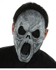 Scary Ghost Maske 