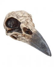 Edgar`s Raven Skeleton Skull 