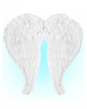 Angel Wings With White Feathers 67x64cm 