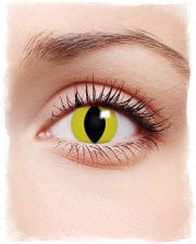 Contact lenses yellow cat eyes motif 