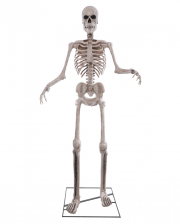 Riesiges Skelett Halloween Animatronic 