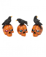 Halloween Skulls, buy online now