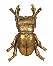Gold Stag Beetle Wall Art 14,5cm 