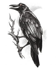 Gothic Klebetattoo Raven 
