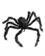 Haarige Spinne Grau-Schwarz Meliert 