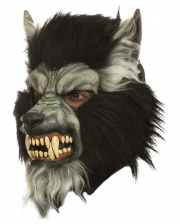 Graue Wolf Maske mit Reißzähnen 