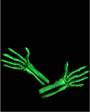 Grüne Skelett Handschuhe UV Aktiv