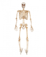 Scary Skeleton With LED Eyes 91cm 