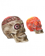 Halloween Totenschädel mit blutigem LED Gehirn 19cm 