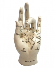 Palm Reading & Fortune Telling Hand 