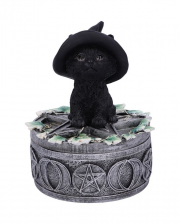 Schwarze Hexenkatze auf Pentagramm Box 15cm 