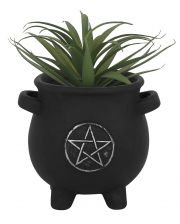 Pentagramm Hexenkessel Pflanzenbehälter 