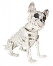 Halloween Hundeskelett sitzend