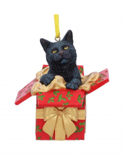 Cat Gift Christmas Ball 9cm 