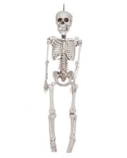 Klappriges Skelett Hängefigur 30 cm 