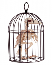 Raben Skelett im Käfig 