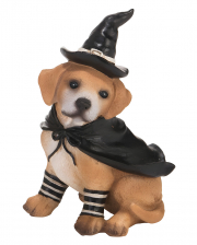 Labrador In Witch Costume 13cm 