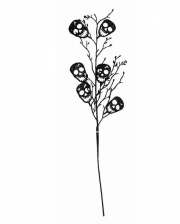 Langstielige Totenschädel Blume 