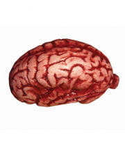 Latex Gehirn 