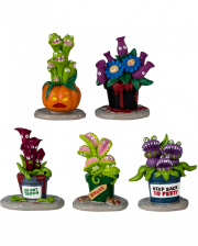 Lemax Spooky Town - Hungry Houseplant Horror 5 Pcs. 