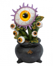 Bright Eyeball Plant In Witch Cauldron 22cm 