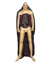 Male corpse John Doe 156 cm 