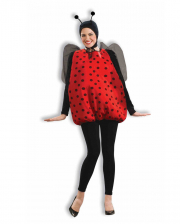 Ladybird Costume With Wings & Feeler 