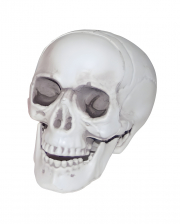 Mini skull with moving jaw 