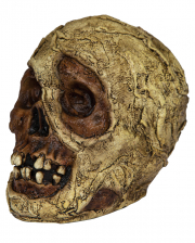 Mumien Totenschädel aus Latex 18cm 