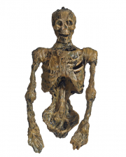 Mummified Corpse With LED Eyes