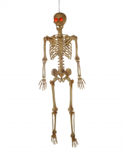 Flexibel Platzierbares Skelett mit leuchtenden Augen 165cm 
